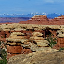 Sandstone rocks with snowy mountains of the northern section of the Manti-la Sal National Forest